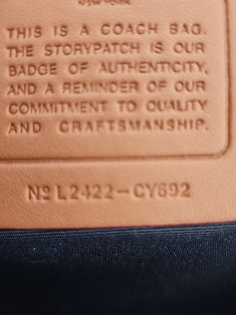 Coach Denim Signature Cherry Print Satchel - Picture 2 of 6
